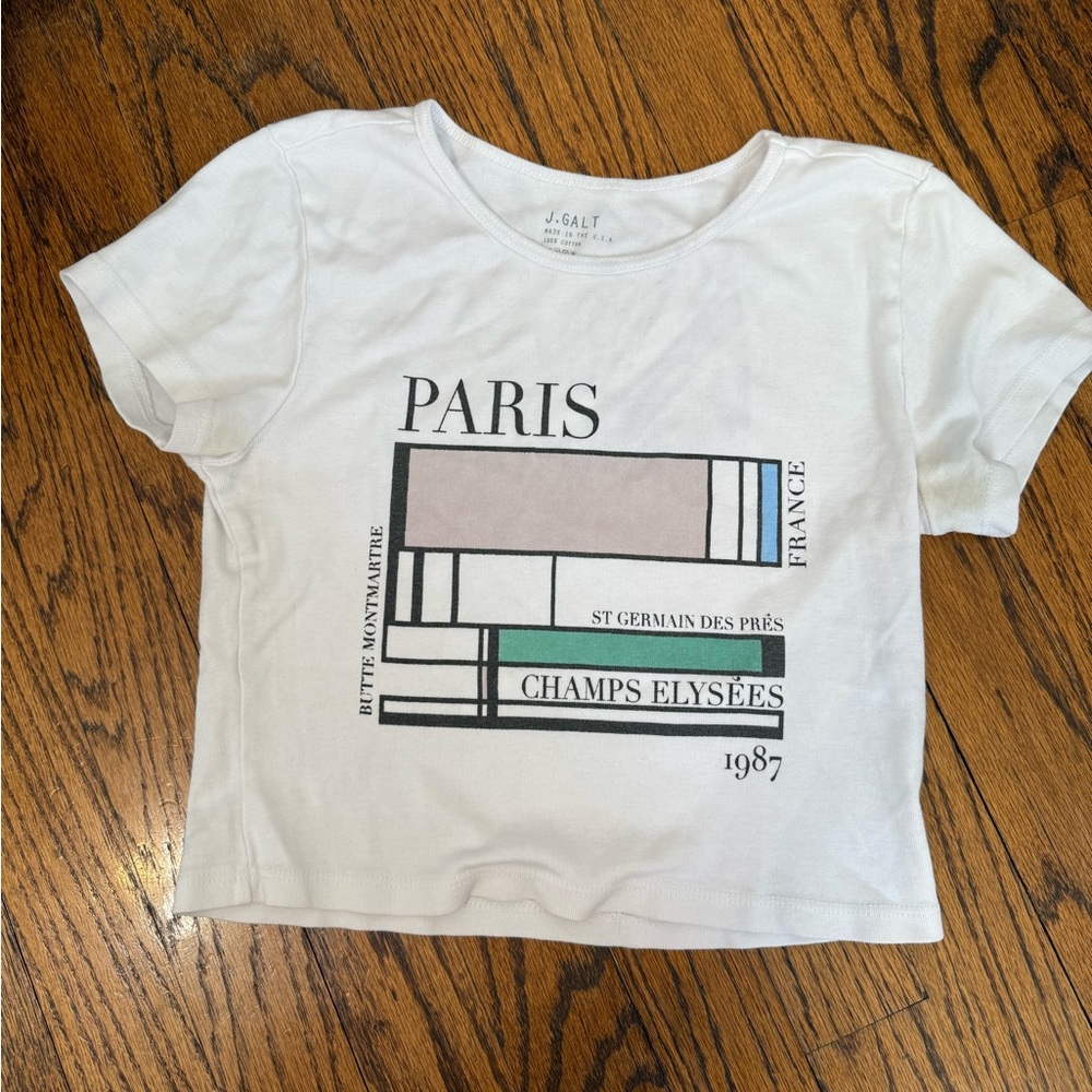 Brand Melville Paris Graphic Cropped T-Shirt
